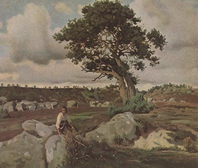 Forest of Fontainebleau by Jean Baptiste Camille Corot